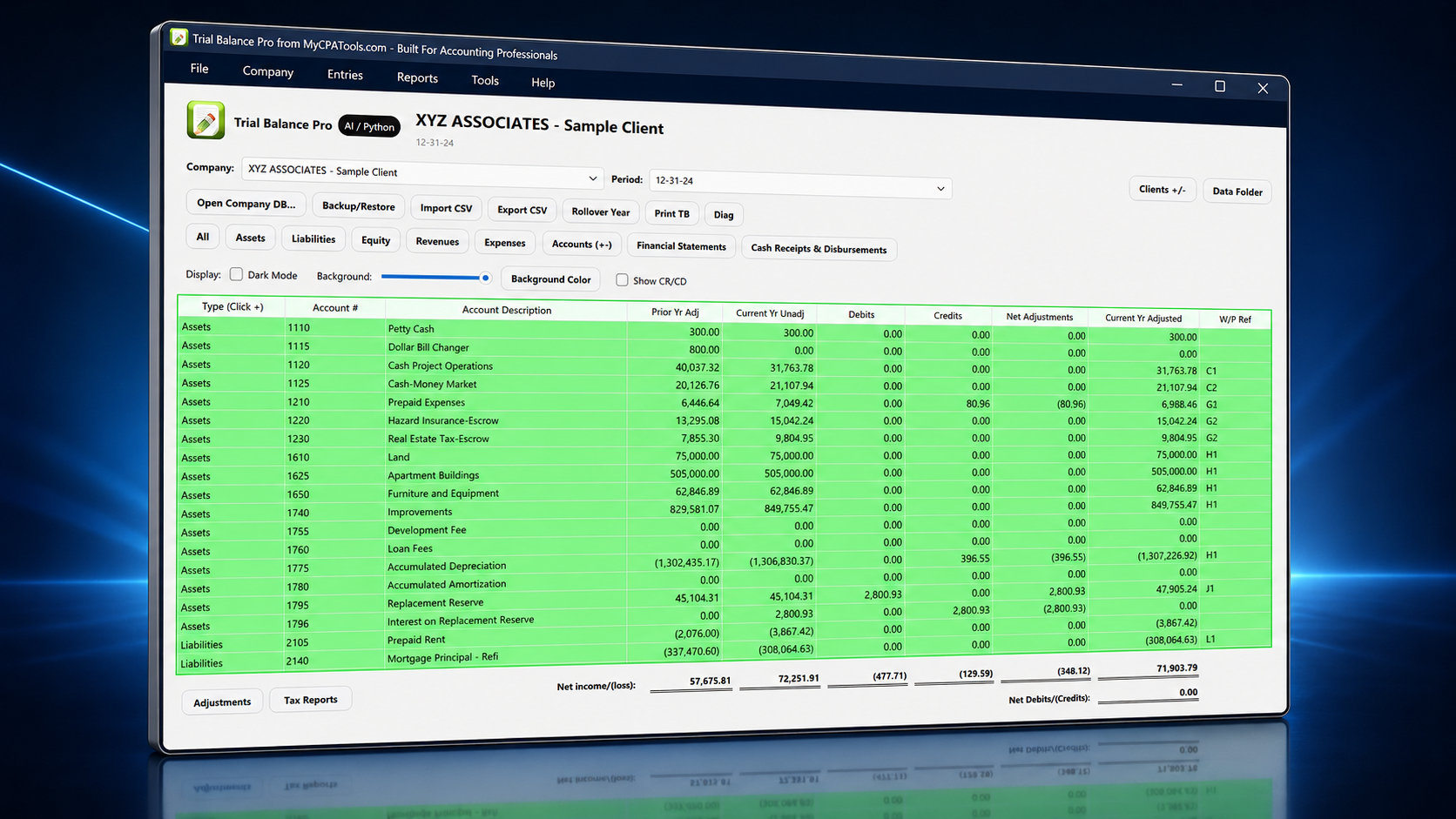 Trial Balance Pro application interface